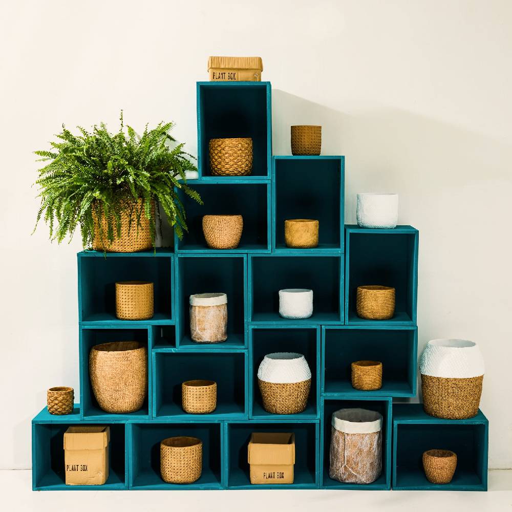 Novità Home Box Cement - Vaso a Imballo Scatola Cartone in Cemento 17cm Pezzi Unici