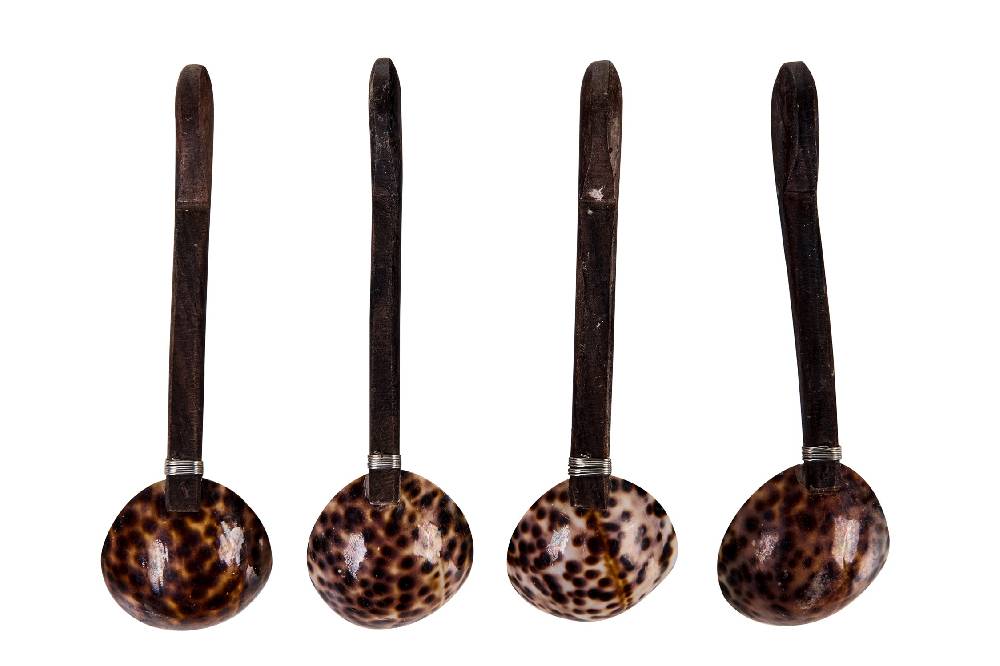 Novità Home Spotted Shells - Cucchiani Concavi Set 1/4 Discount Store per i nuovi prodotti