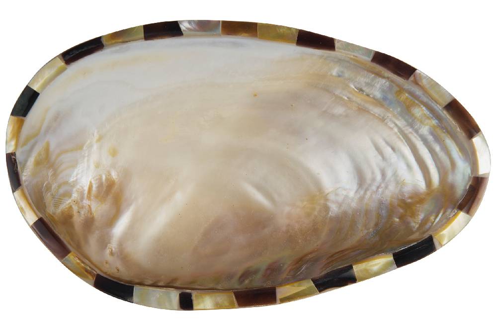 Novità Home Manyuse - Svuota Tasche Conchiglia Enormi sconti