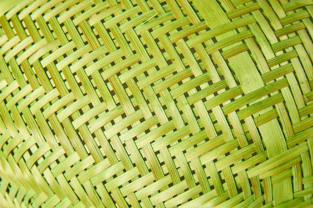 Novità Home Homemade - Coprivivande Tondo Verde Bestseller