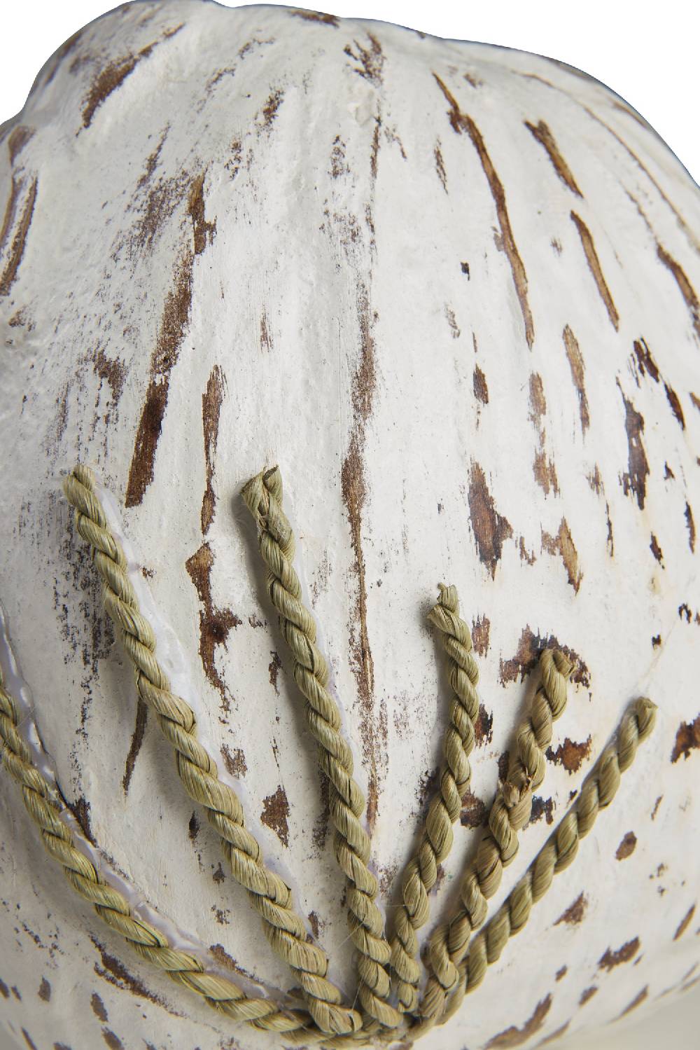 Novità Home Decor - Civetta Cocco Bianco Grande vendita