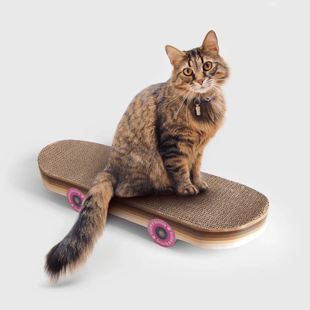 Sbam Design Skateboard da graffiare per gatti Sottocosto