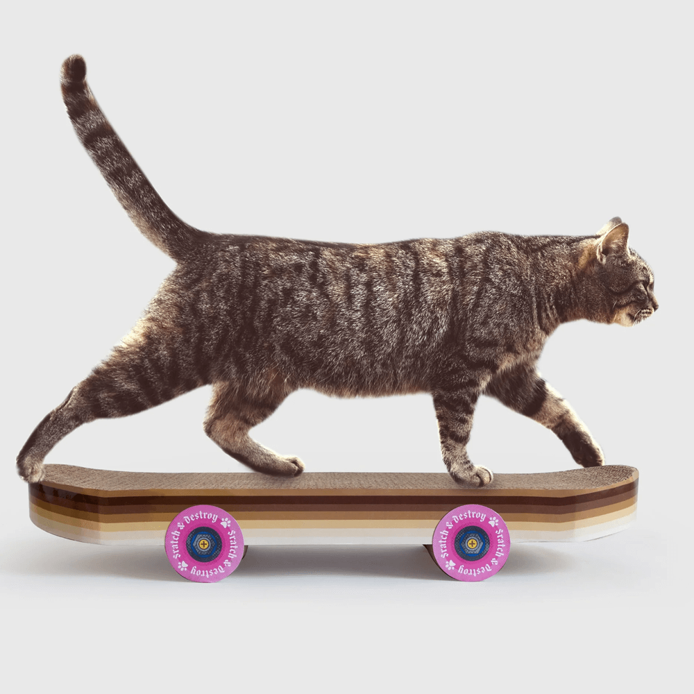 Sbam Design Skateboard da graffiare per gatti Sottocosto