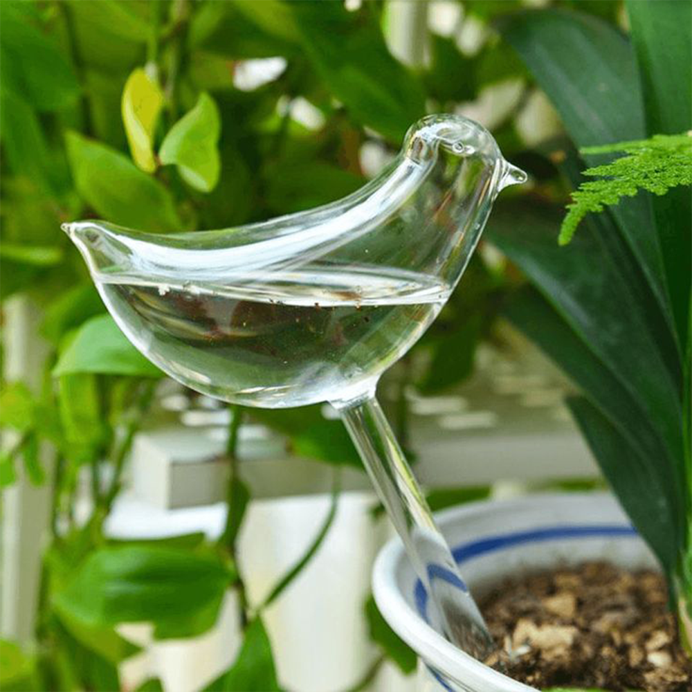 Sbam Design Uccellino in vetro per autoirrigazione Offerte