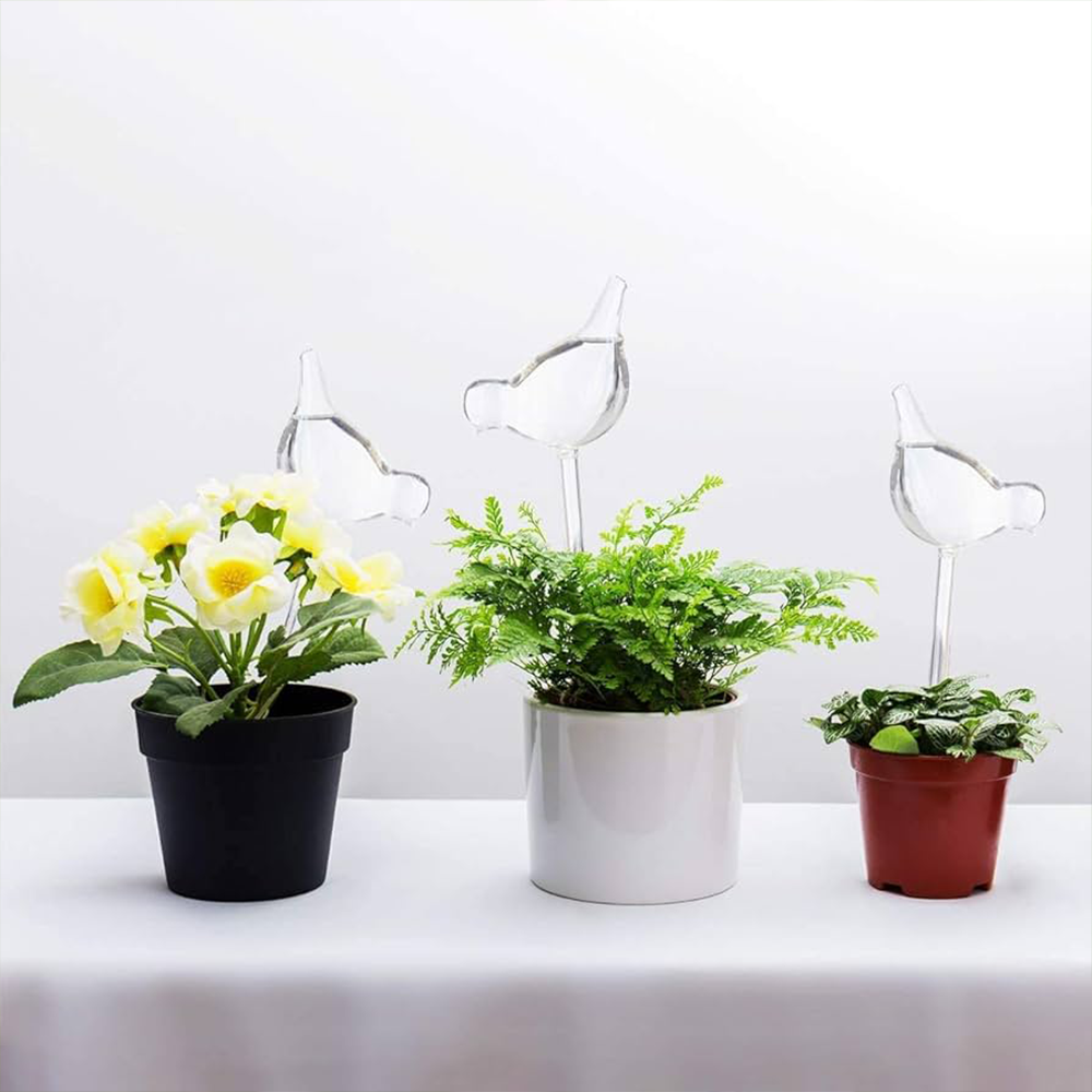 Sbam Design Uccellino in vetro per autoirrigazione Offerte