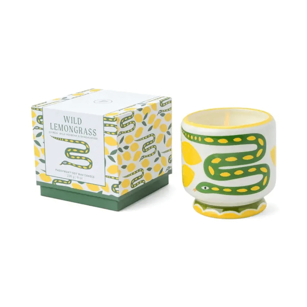 Sbam Design Candela profumata in vasetto di ceramica – wild lemongrass