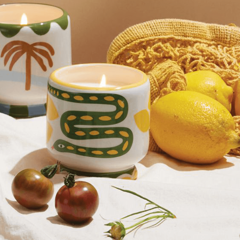 Sbam Design Candela profumata in vasetto di ceramica – wild lemongrass Promozione