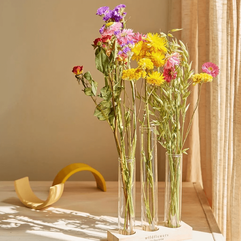 Sbam Design Set fiori secchi e fialette Soddisfazione Garantita