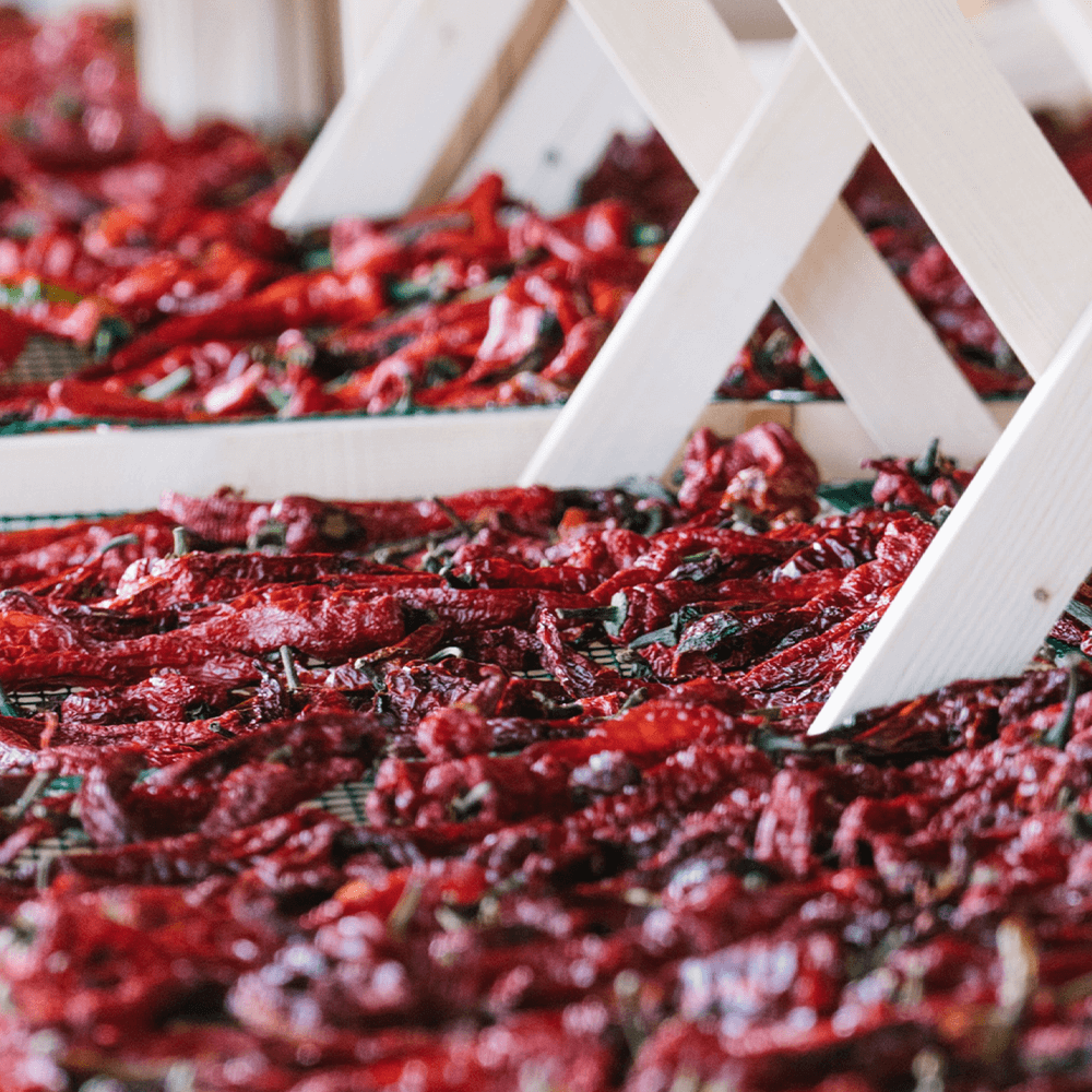 Sbam Design Fòrte – Peperoncino in olio extra vergine di oliva Vendita Economica