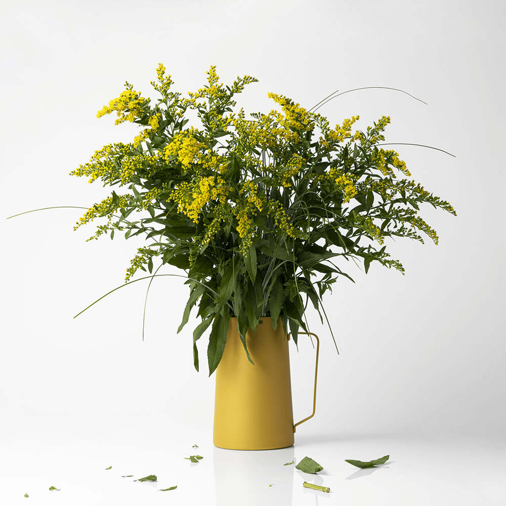 Sbam Design Brocca/Vaso – Diario Promozione