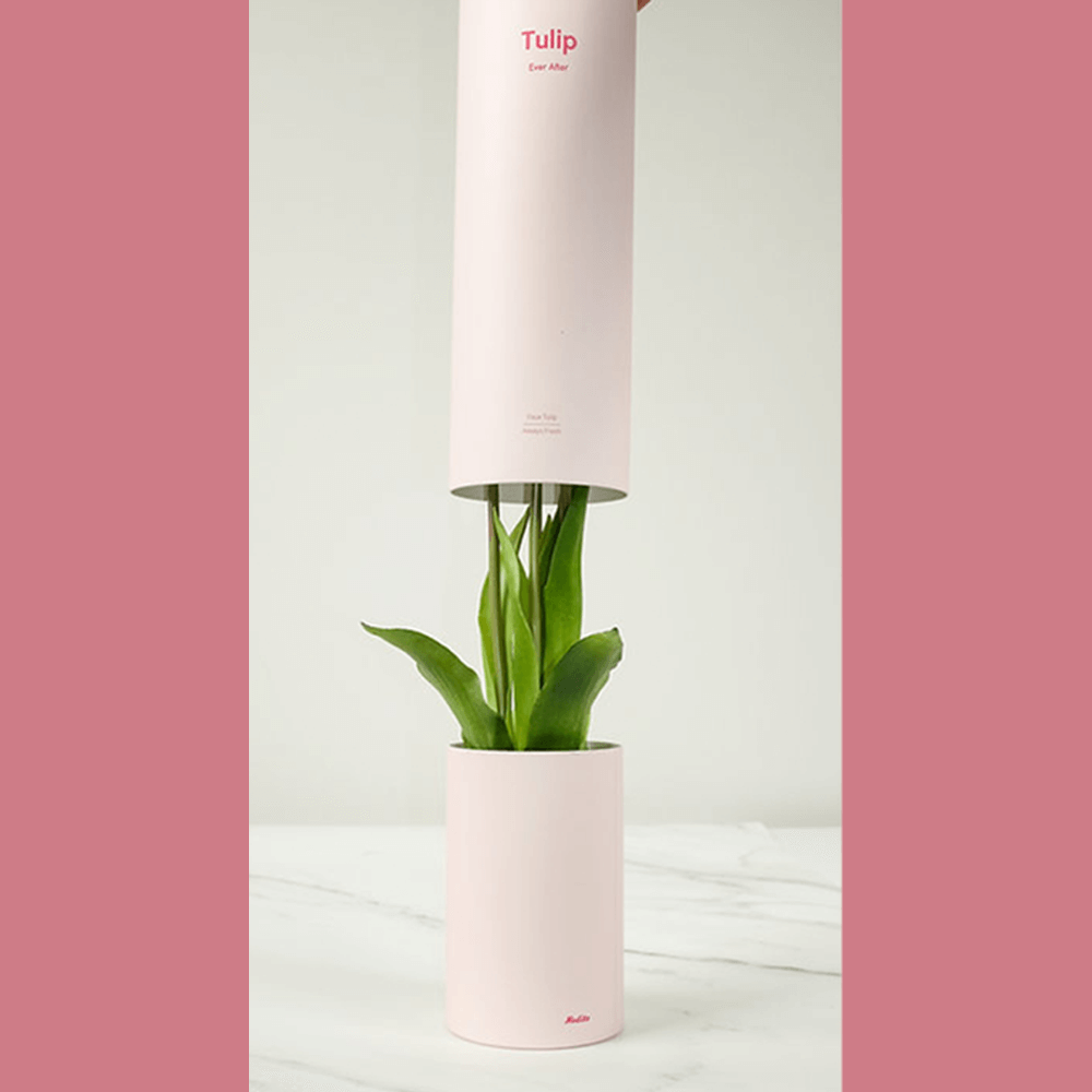 Sbam Design Tulip – profumatore per ambiente Italy