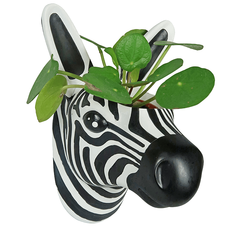Sbam Design Vaso da parete – zebra Affare Del Giorno