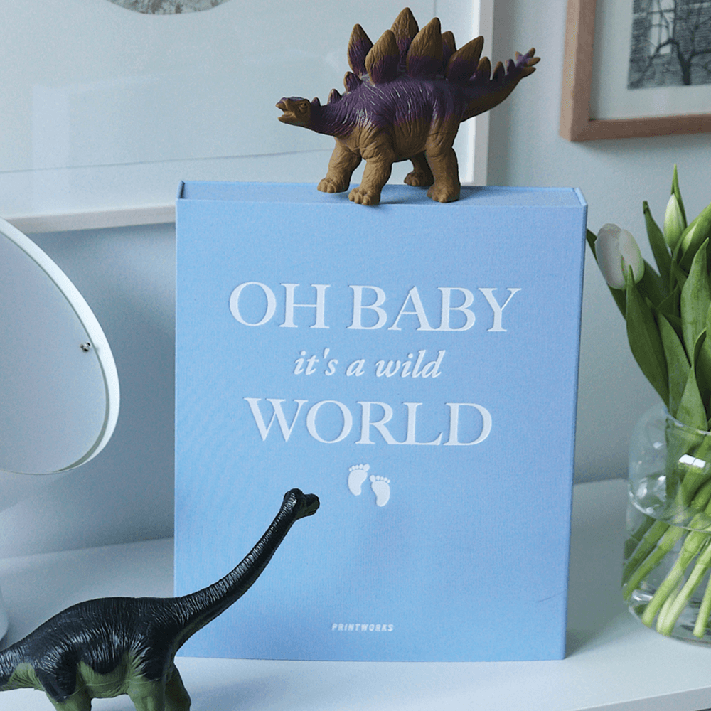 Sbam Design Album per fotografie “Oh baby it’s a wild world” Online