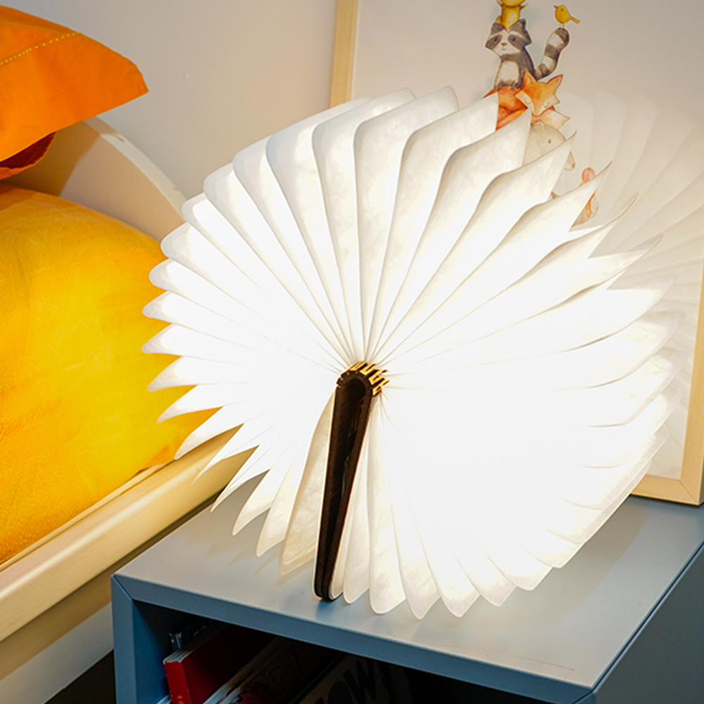Sbam Design Pic Light – libro luminoso con copertina personalizzabile Lightning offer