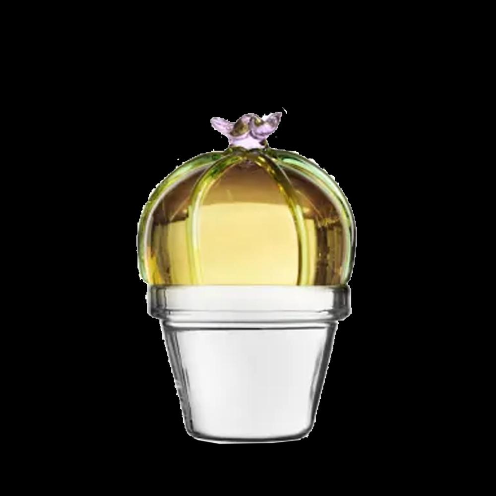 Sbam Design Fermacarte decorativo cactus di vetro Grandi sconti
