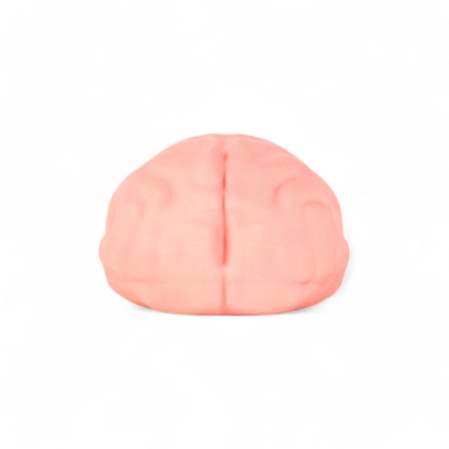 Seletti Brain wash Affare Del Giorno