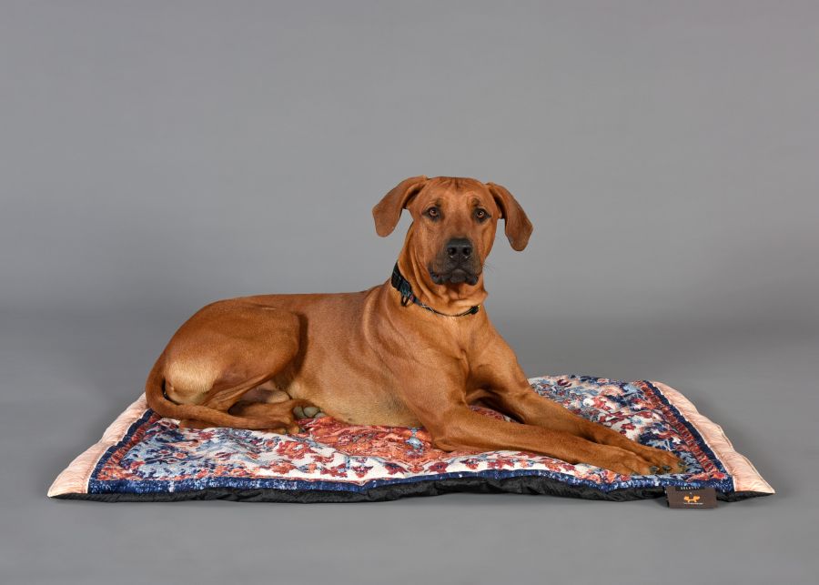 Seletti Kennel carpet PETS (R)EVOLUTION Big Promozione Limitata