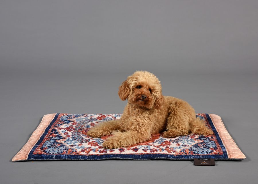 Seletti Kennel carpet PETS (R)EVOLUTION Medium Shopping Online