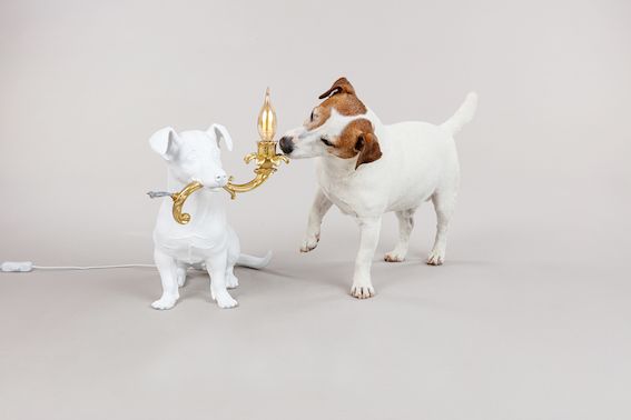Seletti Rio Lamp Offerta natalizia