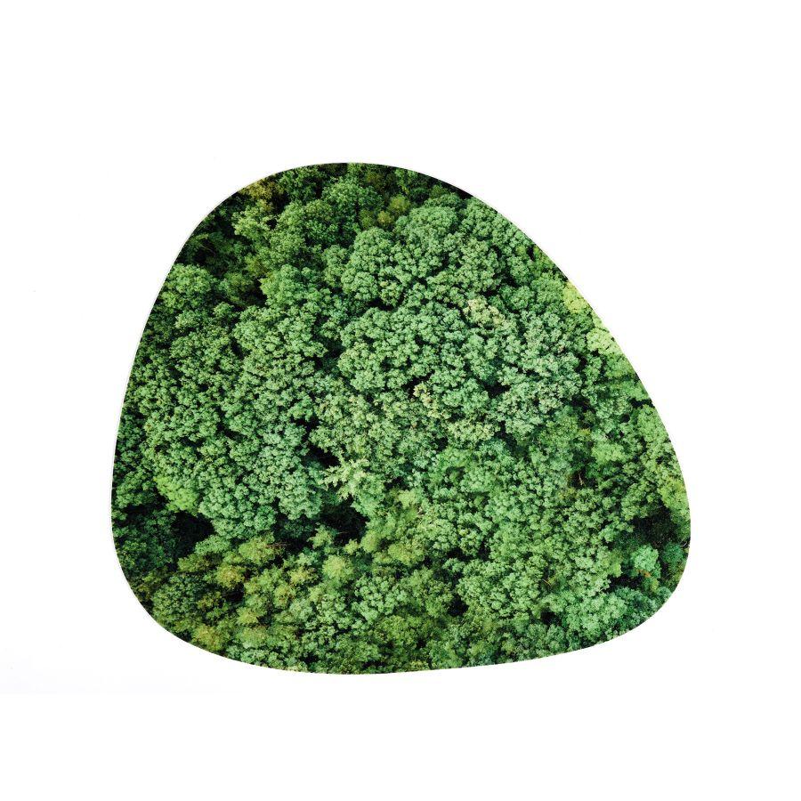 Seletti Bowl mat PETS (R)EVOLUTION Les Alpes Promozione Limitata