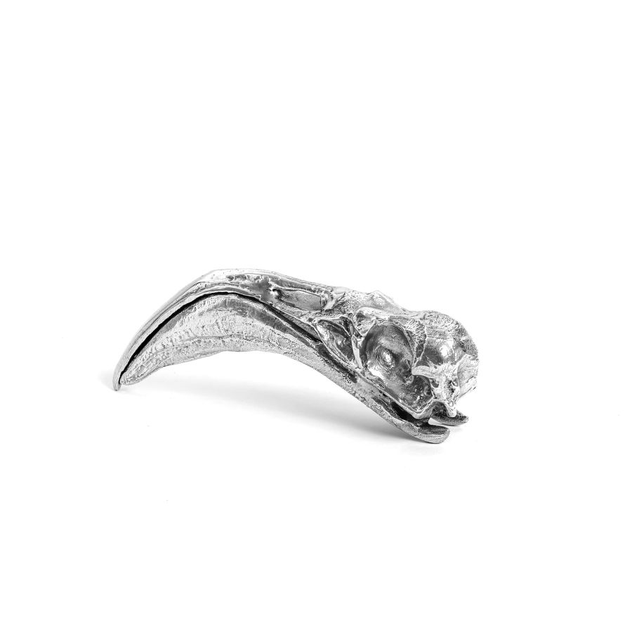 Seletti Wunderkammer Flamingo Skull Shopping Online