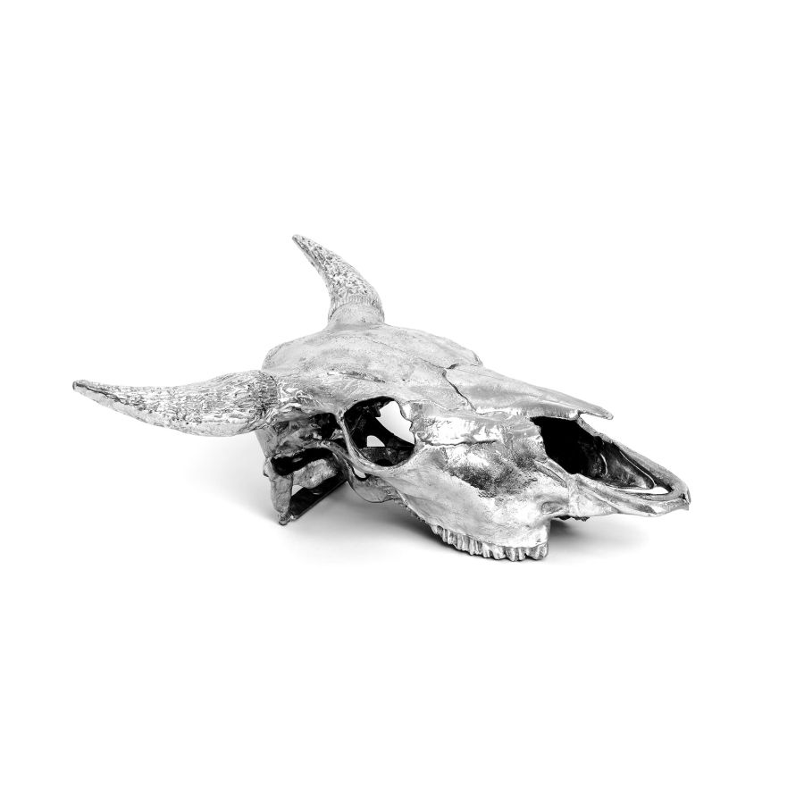 Seletti Wunderkammer Bison Skull Convenienza