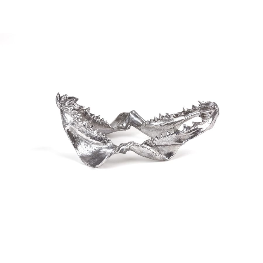 Seletti Wunderkammer Shark Jaw Novità
