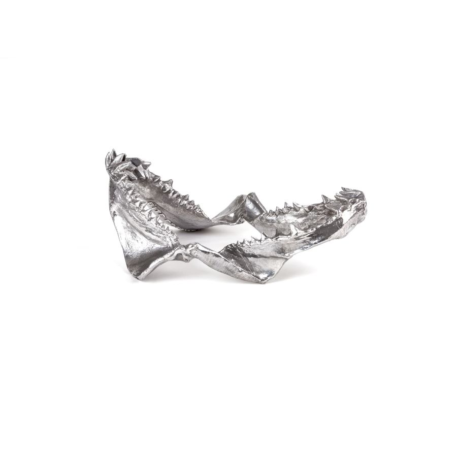 Seletti Wunderkammer Shark Jaw Novità