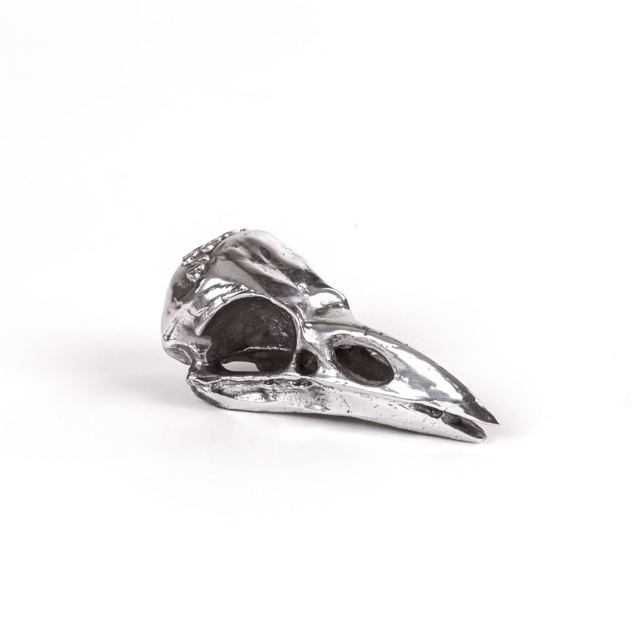 Seletti Wunderkammer Bird Skull Presa