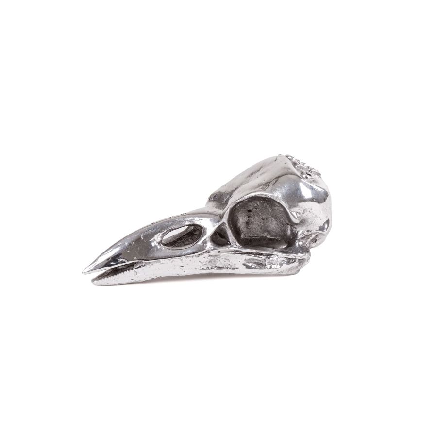 Seletti Wunderkammer Bird Skull Presa
