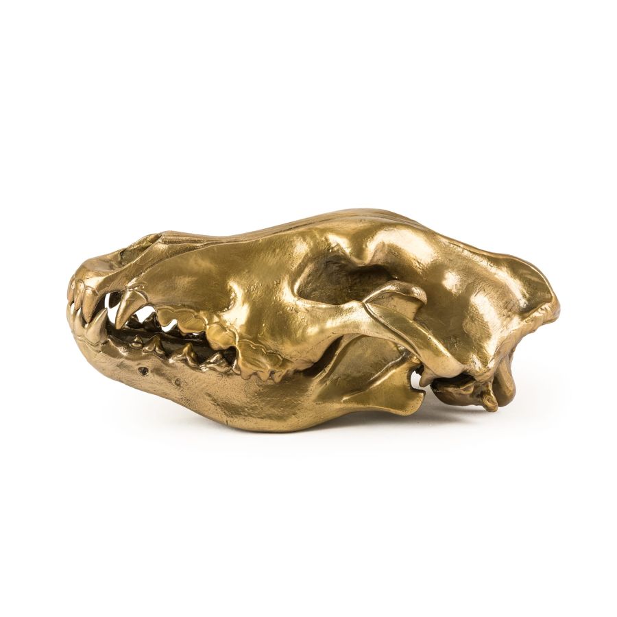 Seletti Wunderkrammer Wolf Skull 2025