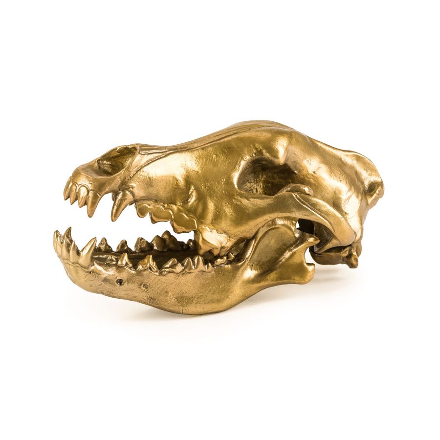 Seletti Wunderkrammer Wolf Skull 2025