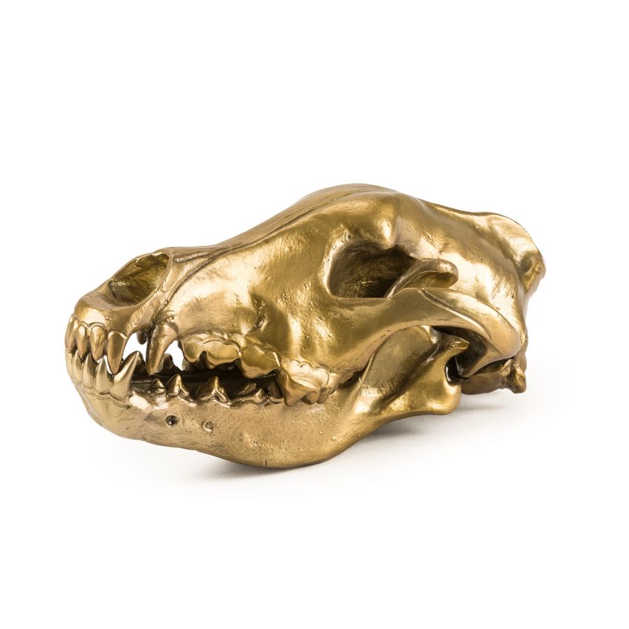 Seletti Wunderkrammer Wolf Skull 2025