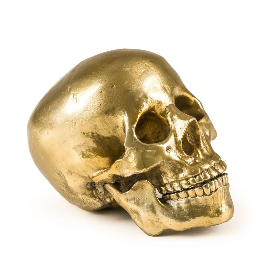 Seletti Wunderkrammer Human Skull Italy