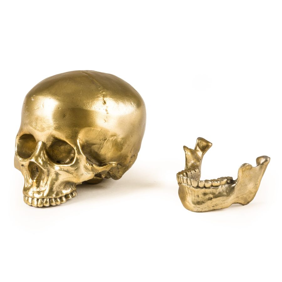 Seletti Wunderkrammer Human Skull Italy