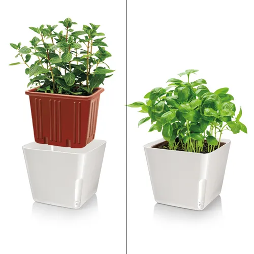 Tescoma VASO PER PIANTE QUADRATO BIANCO Italia
