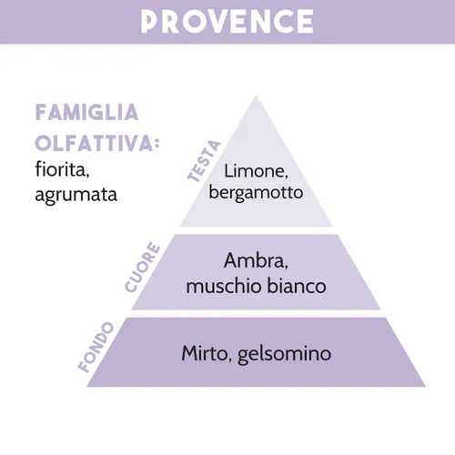 Tescoma DIFFUSORE DI ESSENZA PROVENCE 200 ml Offerte