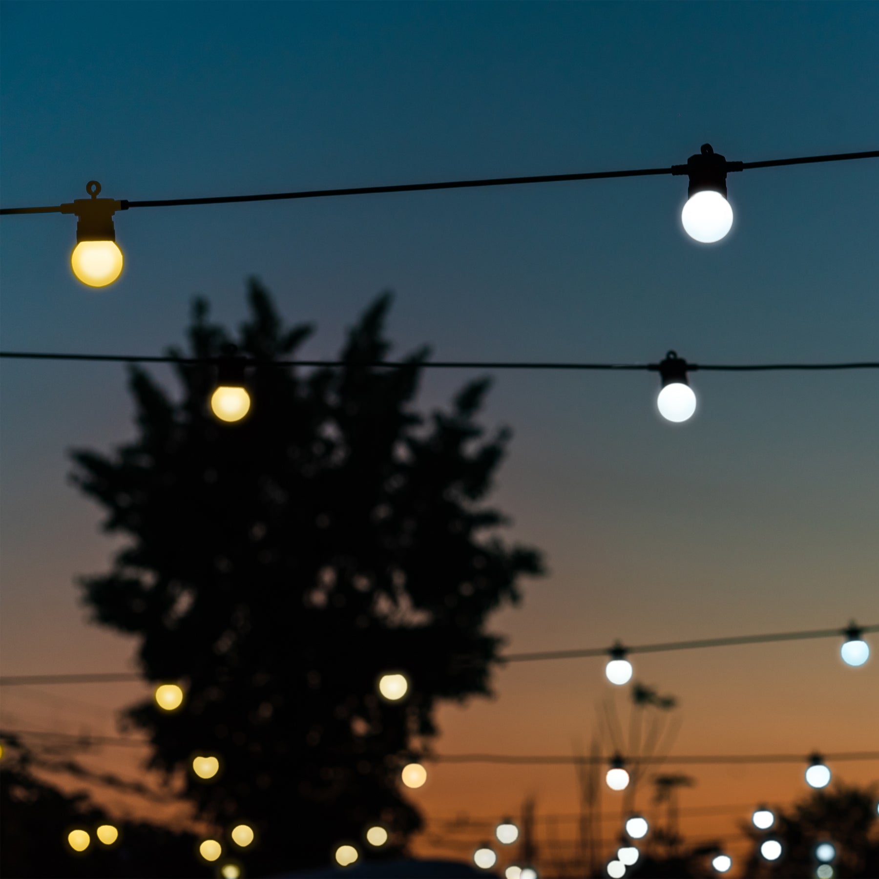 Twinkly Festoon (edizione Oro e Argento) Sconto