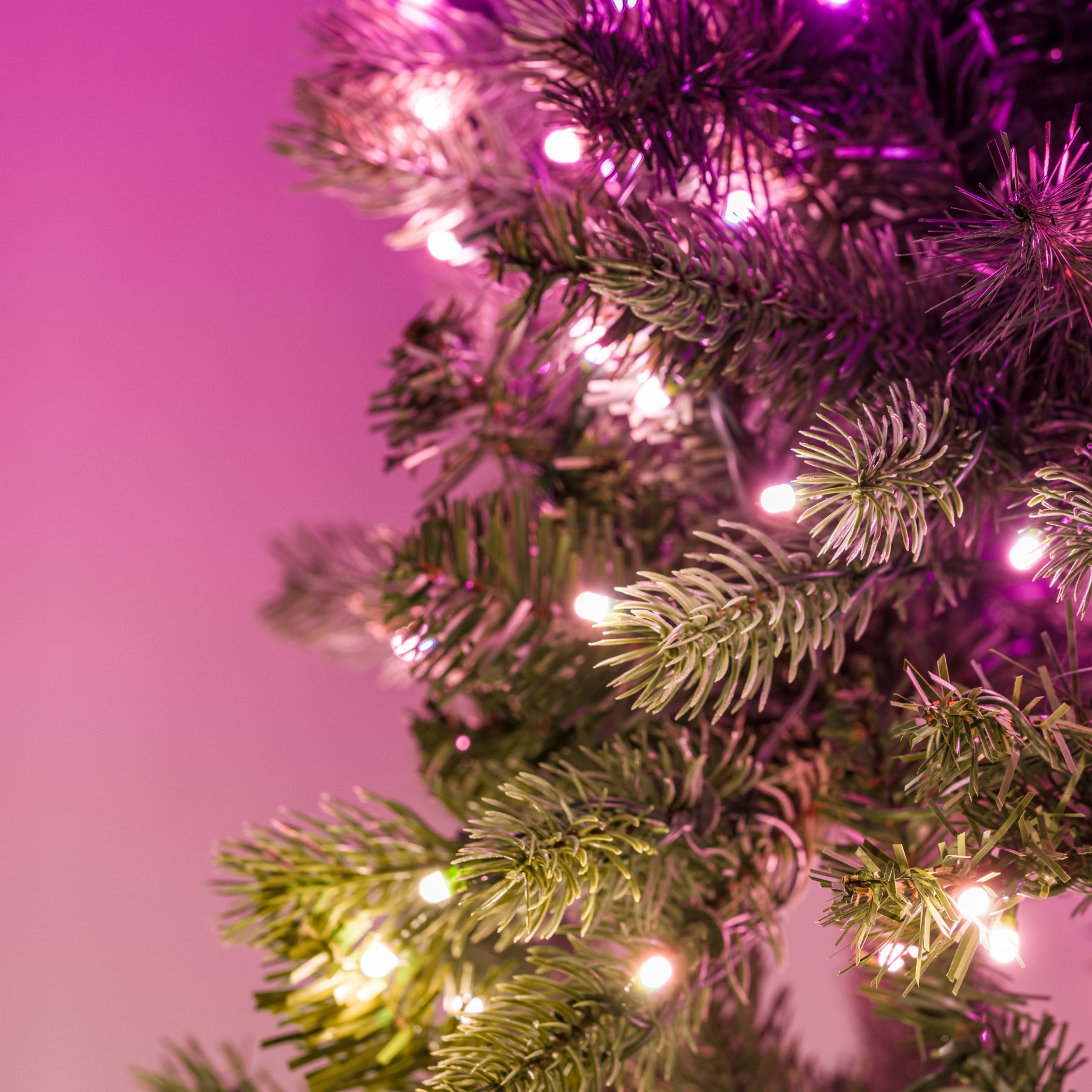 Twinkly Pre-lit Regal Tree (Multicolor + Bianco) Vendita Economica