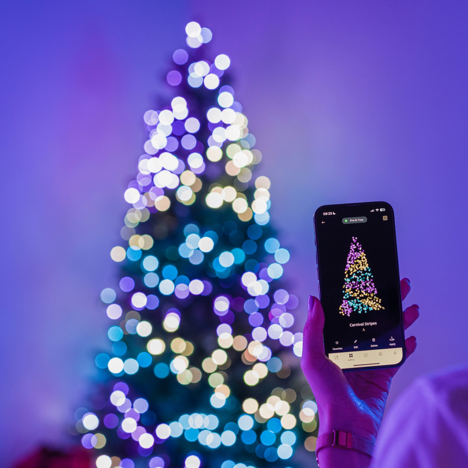 Twinkly Pre-lit Regal Tree (Multicolor + Bianco) Vendita Economica